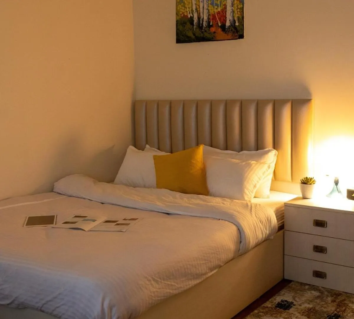 2Bhk Pristine Terrace Apartment In Kathmandu